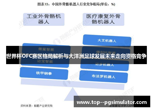 世界杯OFC赛区格局解析与大洋洲足球发展未来走向资格竞争