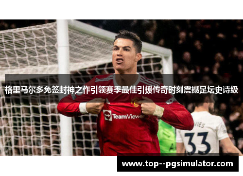 格里马尔多免签封神之作引领赛季最佳引援传奇时刻震撼足坛史诗级