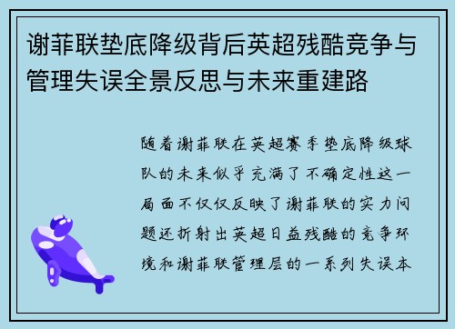 谢菲联垫底降级背后英超残酷竞争与管理失误全景反思与未来重建路