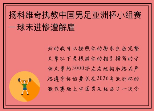 扬科维奇执教中国男足亚洲杯小组赛一球未进惨遭解雇